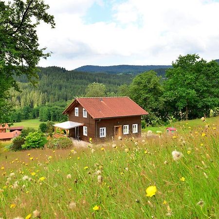 Comfort Apartment With Balcony In The Beautiful Bavarian Forest Drachselsried Eksteriør bilde