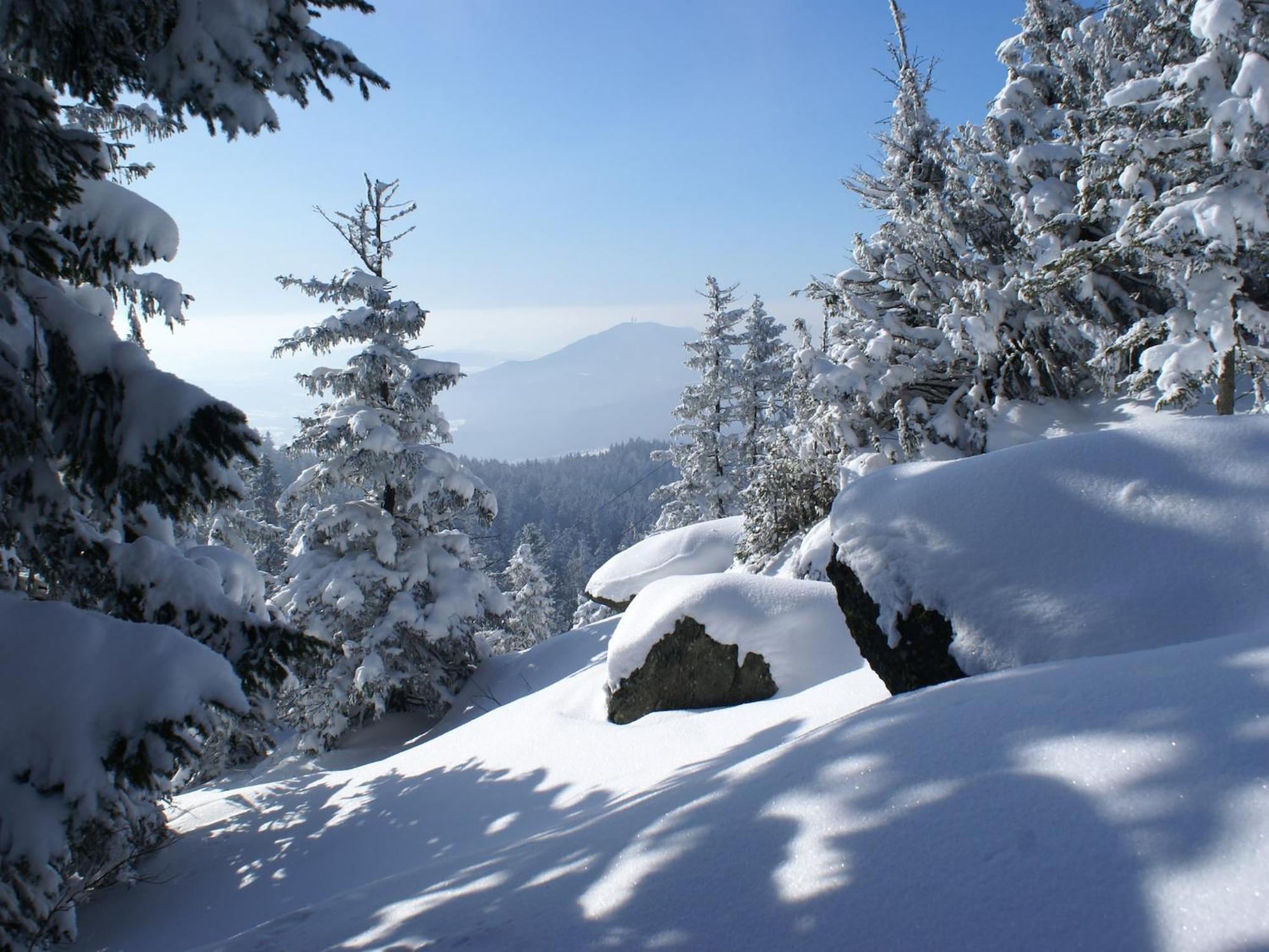 Comfort Apartment With Balcony In The Beautiful Bavarian Forest Drachselsried Eksteriør bilde