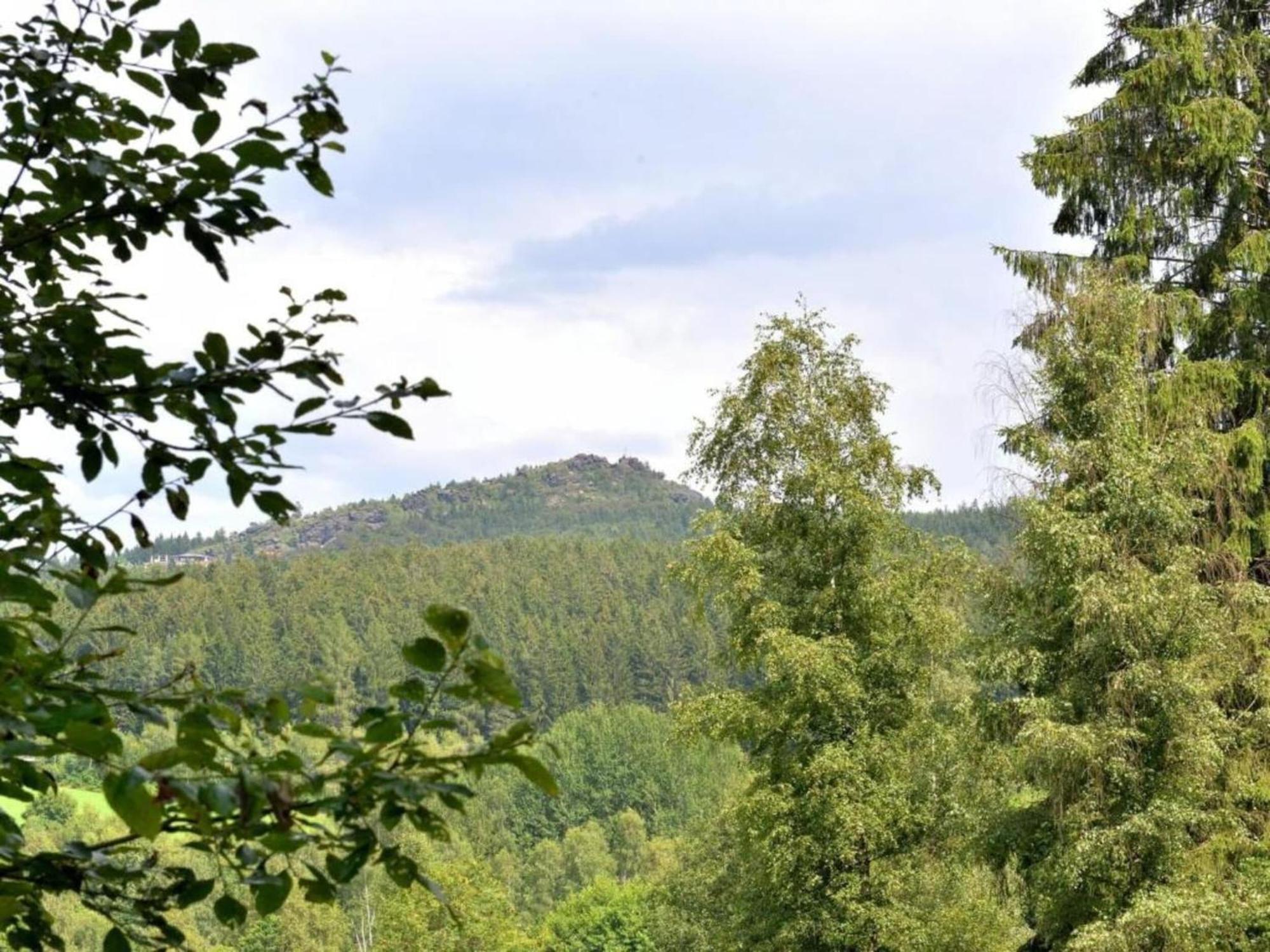 Comfort Apartment With Balcony In The Beautiful Bavarian Forest Drachselsried Eksteriør bilde