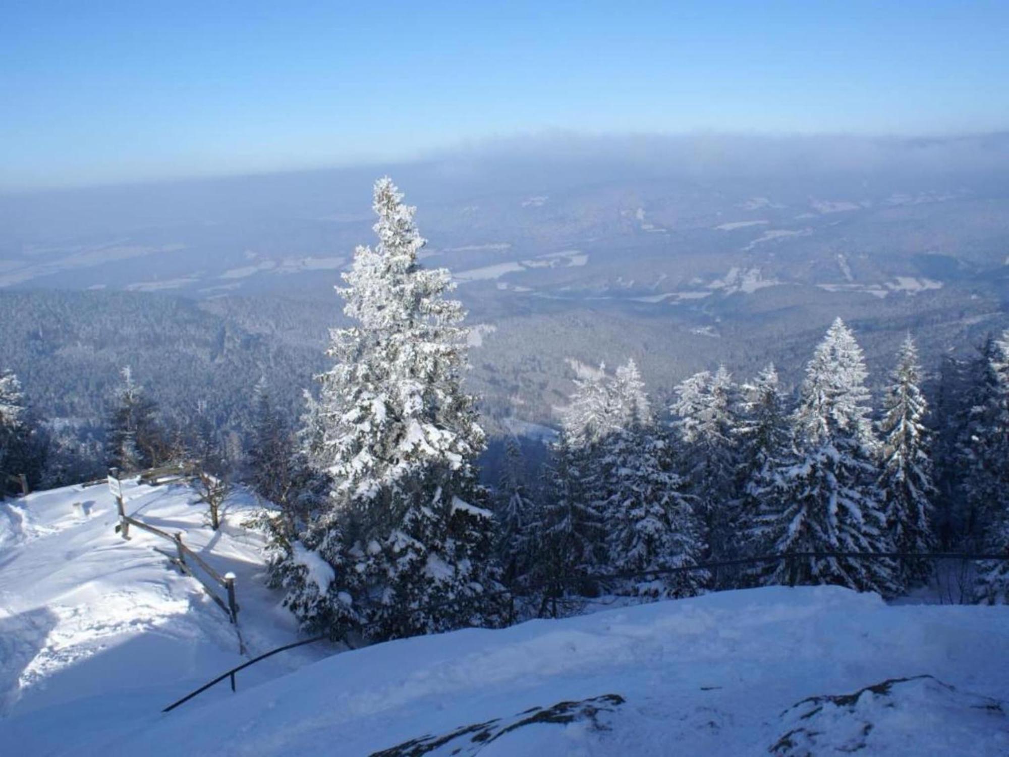 Comfort Apartment With Balcony In The Beautiful Bavarian Forest Drachselsried Eksteriør bilde