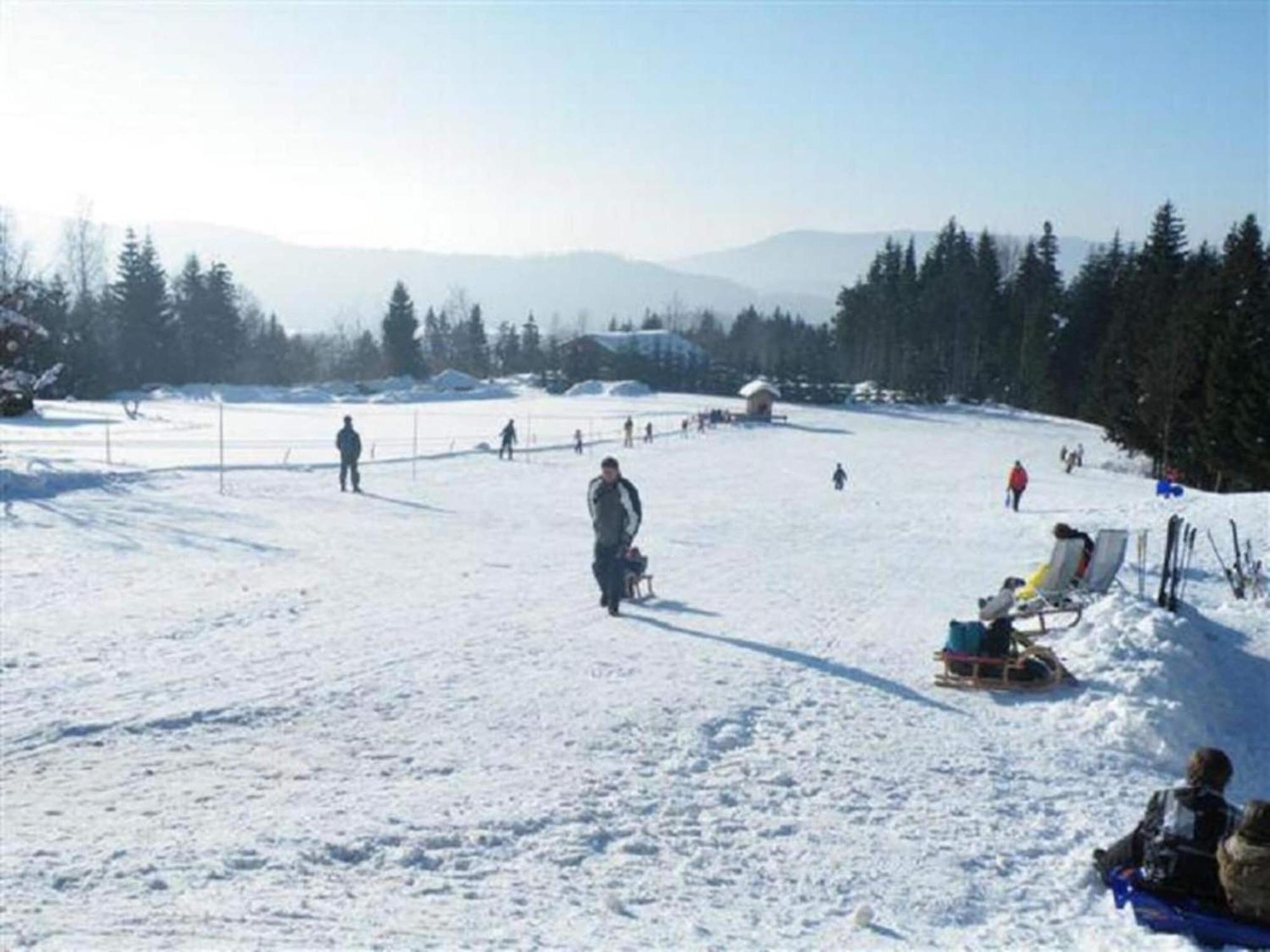 Comfort Apartment With Balcony In The Beautiful Bavarian Forest Drachselsried Eksteriør bilde