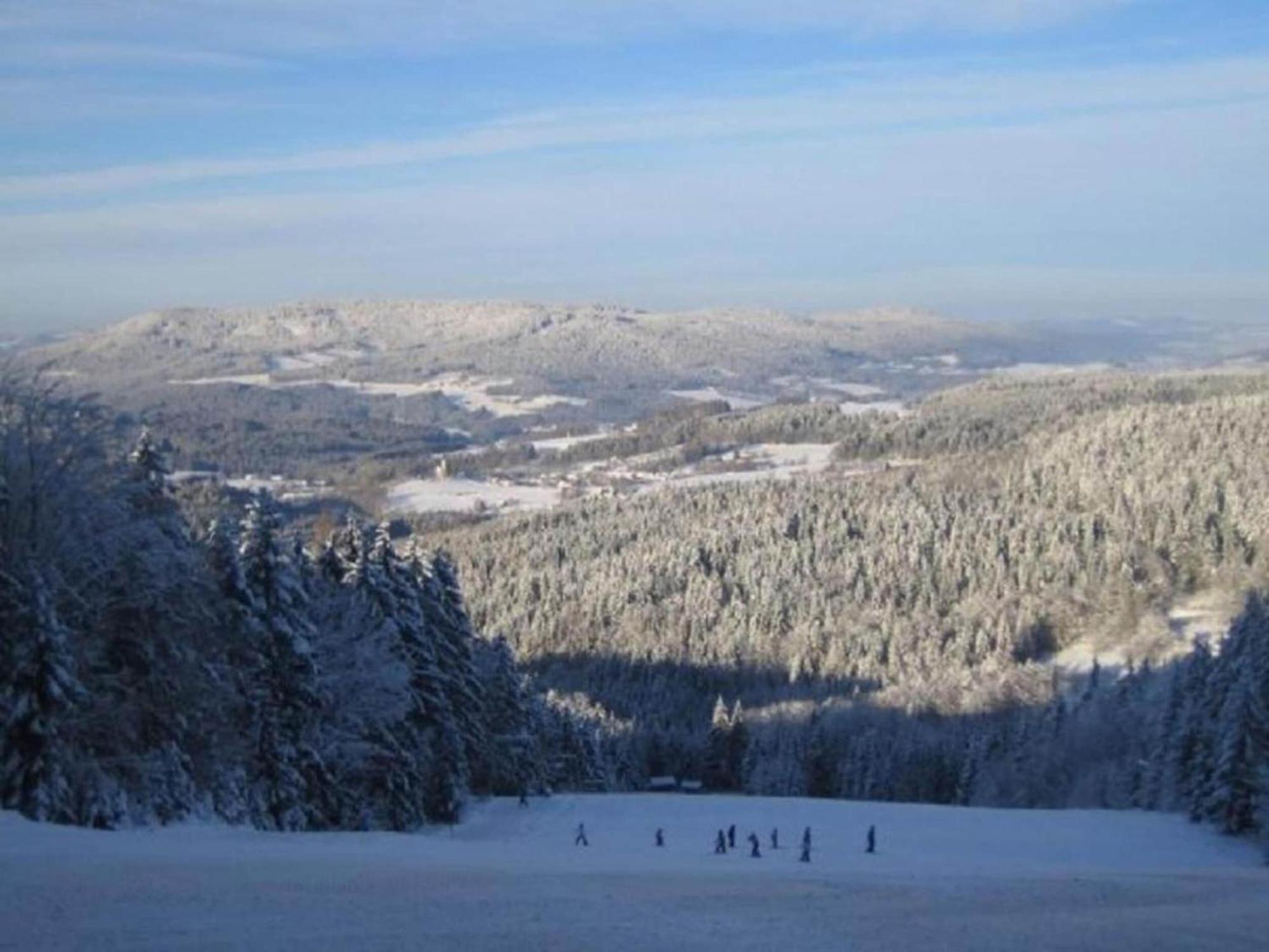 Comfort Apartment With Balcony In The Beautiful Bavarian Forest Drachselsried Eksteriør bilde