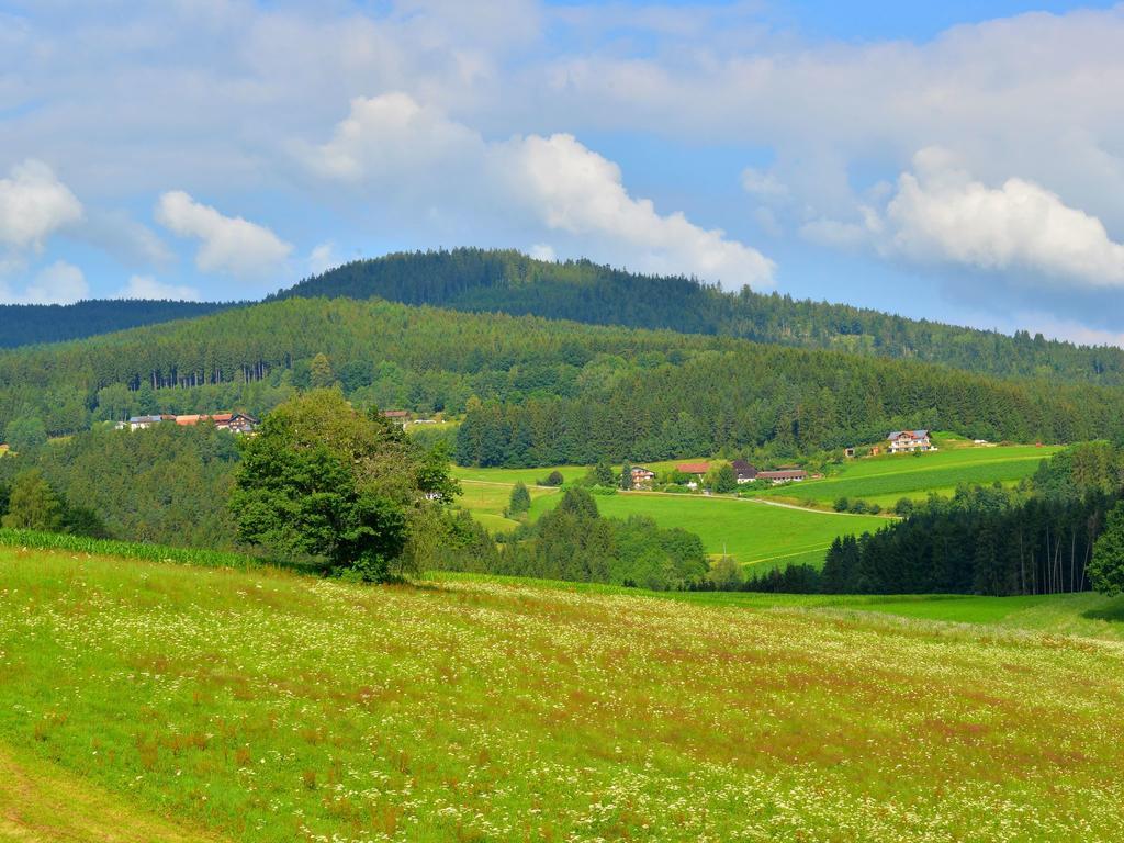 Comfort Apartment With Balcony In The Beautiful Bavarian Forest Drachselsried Eksteriør bilde